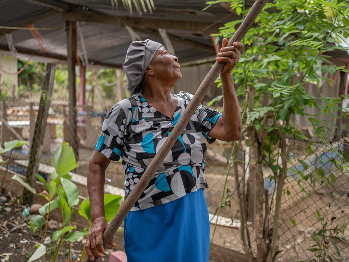 Una mujer afrocolombiana trabaja en un vivero