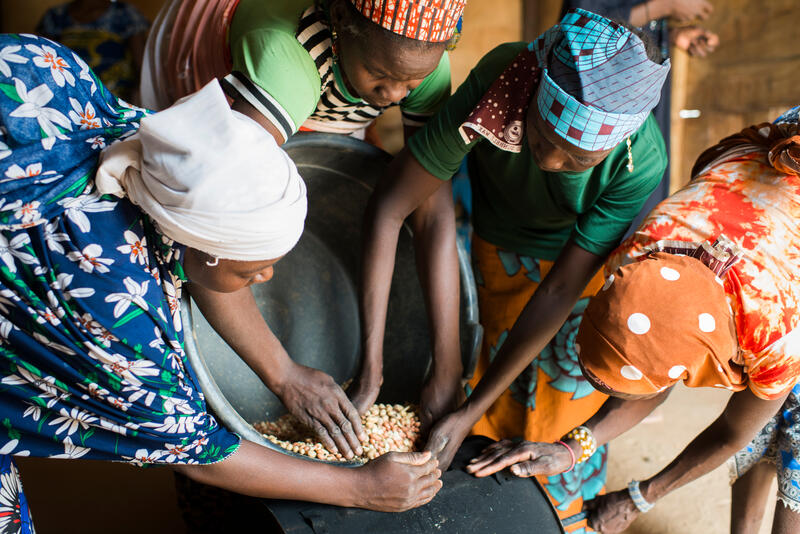 Cuatro mujeres recogen cacahuates de un recipiente y los introducen en un horno.