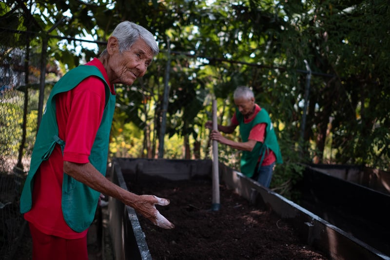 Dos hombres adultos mayores trabajan la tierra en un cajón de cultivo.