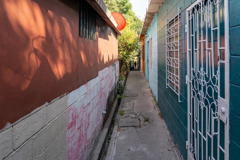 Un callejón estrecho separa dos filas de casas.