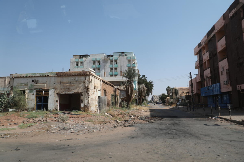 Edificios gravemente dañados por bombardeos, abandonados y rodeados de maleza, en un calle desierta.