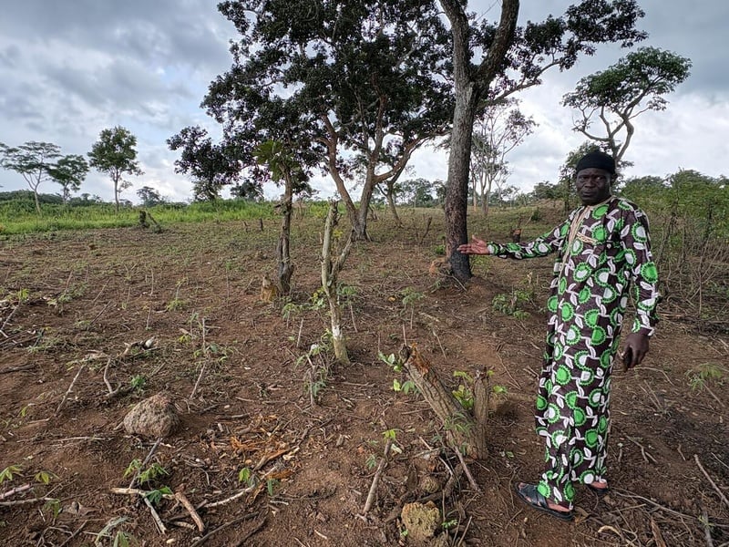 Un hombre vestido con un traje de colores vivos señala con un gesto una zona de terreno agrícola parcialmente despejado
