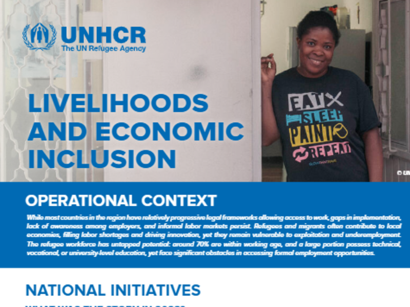 Portada de la hoja informativa de 2024 sobre medios de vida e inclusión económica en las Américas