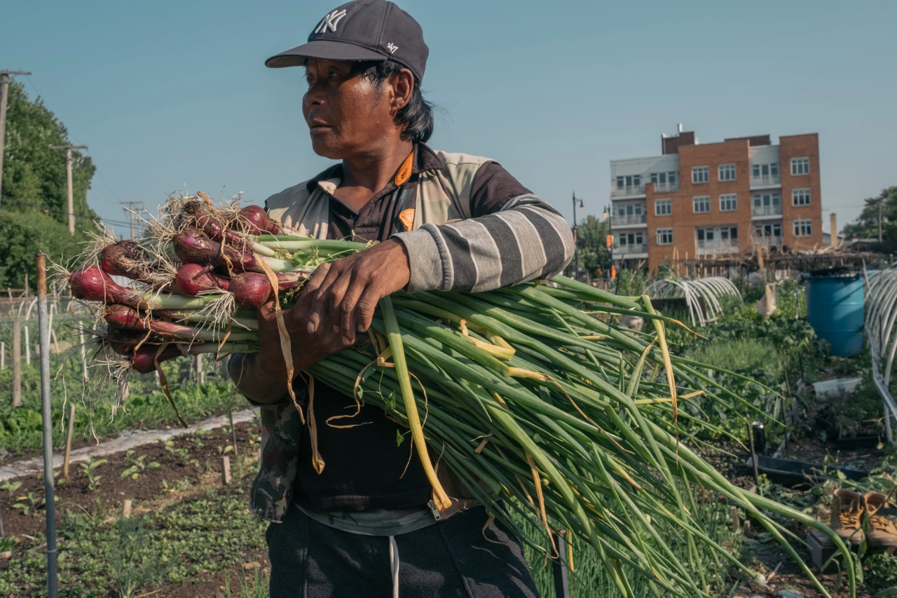 Un hombre de Myanmar lleva en las manos un montón de vegetales frescos