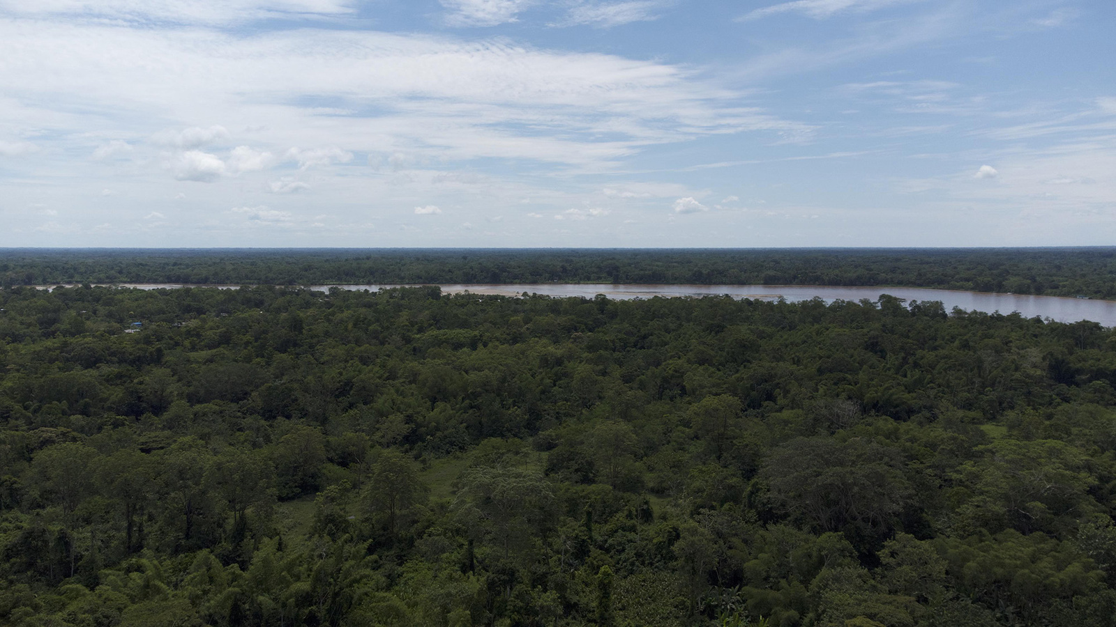 Bosque amazónico y el río Putumayo.
