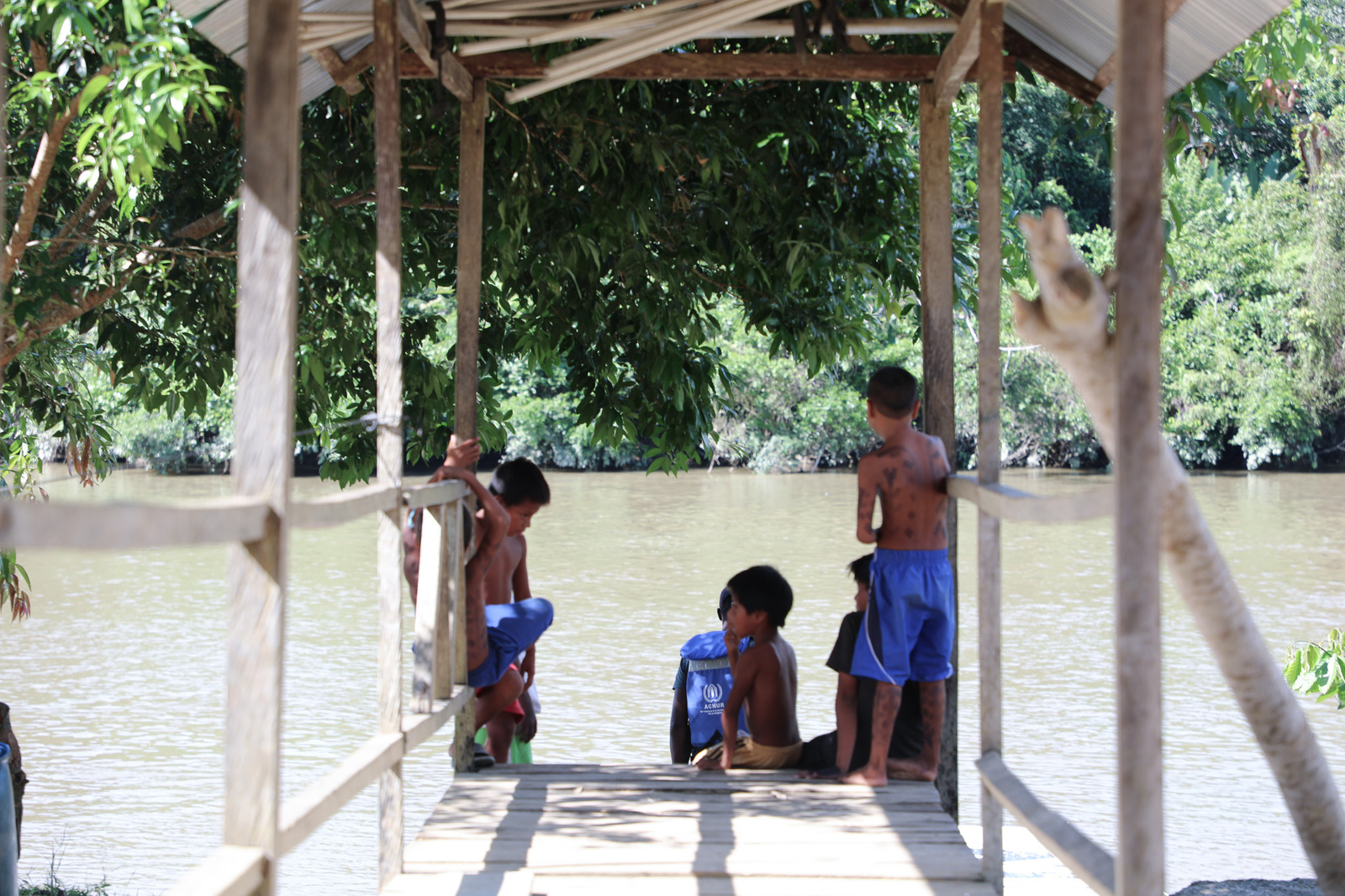 Niños wounaan en un muelle frente al río 