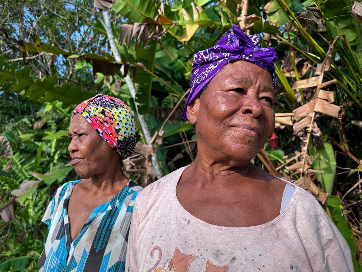 Dos mujeres mayores con pañuelos en la cabeza bajo un árbol de plátano.