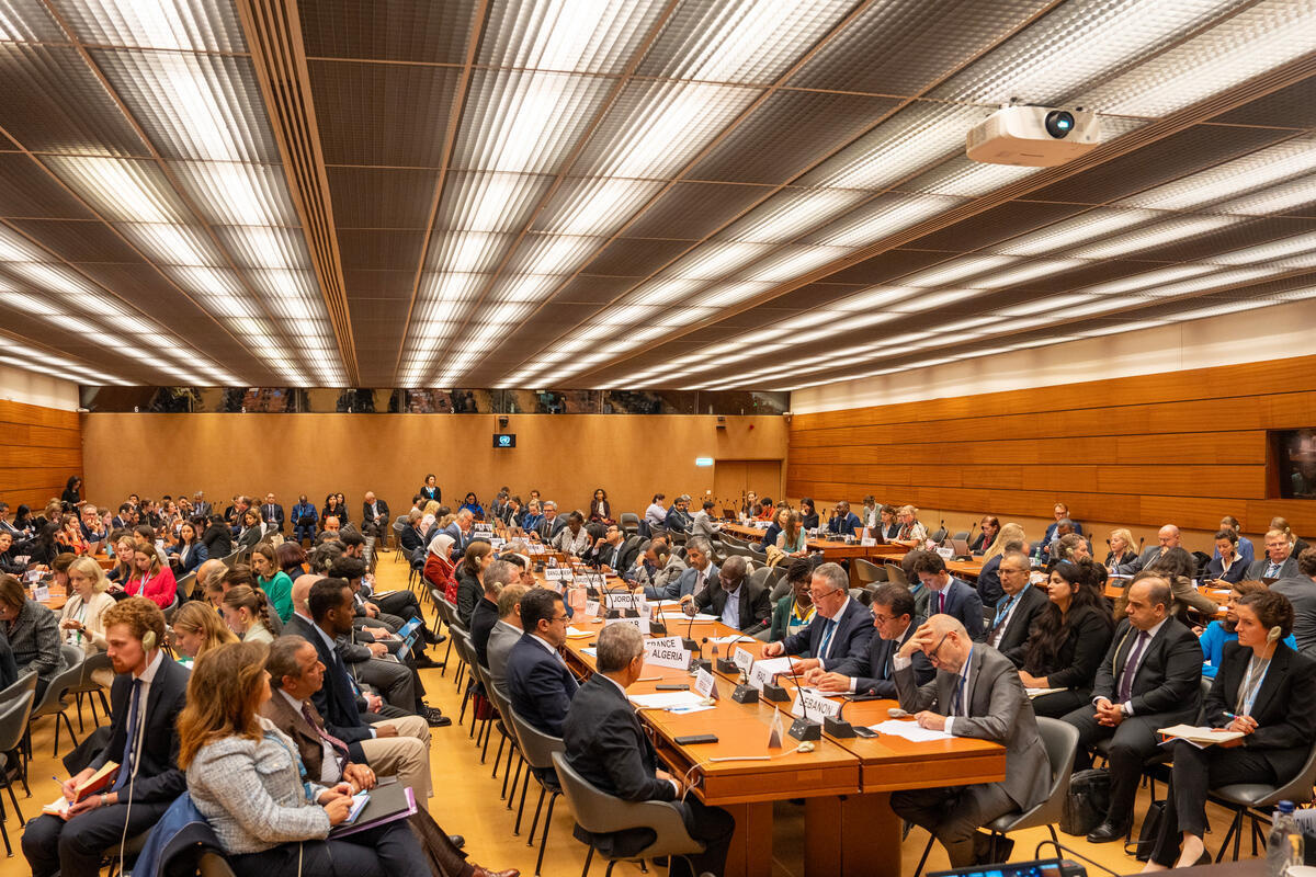 Switzerland. Side event to the 75th plenary session of the Executive Committee on ‘The Lebanon Situation: Displacement and Other Humanitarian Consequences’