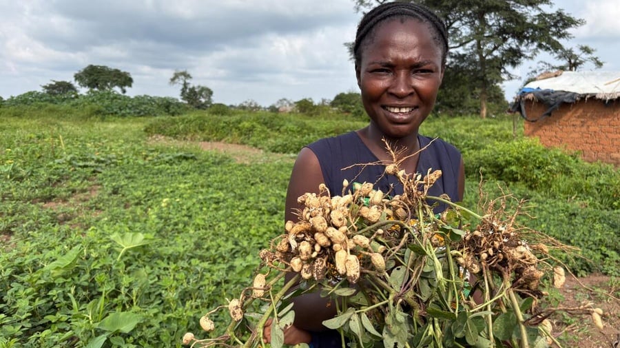 Una mujer está de pie frente a un campo con un manojo de plantas de cacahuate en las manos