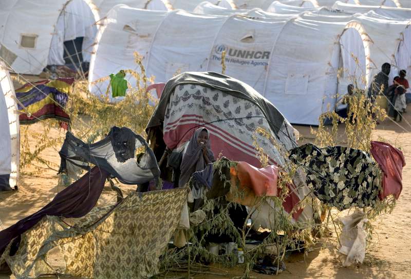 La continua violencia en Somalia ha llevado a que más y más civiles busquen protección a través de la frontera en Kenia, pero el ACNUR está luchando para hacer frente a los miles de recién llegados a los campamentos que necesitan alojamiento, alimentos y atención médica. 