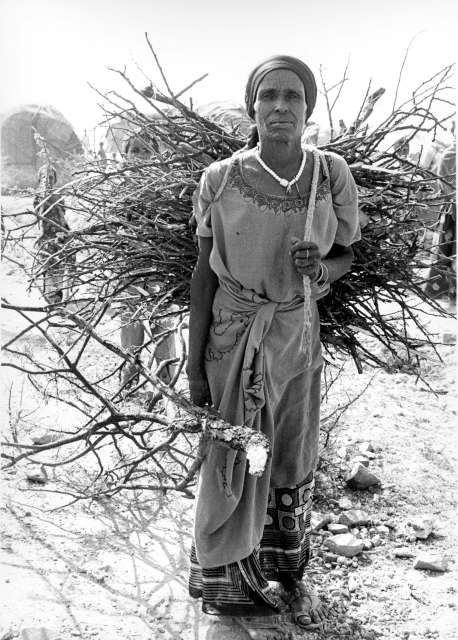Hacia finales de 1991, casi 750.000 somalíes encontraron protección en la región de Harague, en Etiopía. La necesidad de contar con madera se convirtió en una fuerte carga ambiental para una de las zonas más inhóspitas en África. En 2010, la crisis en Somalia aún no cedía.