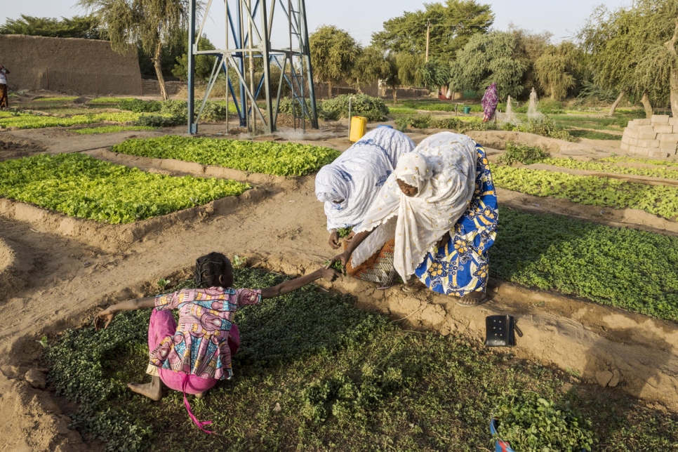 Mujeres trabajando en un huerto en las orillas del Níger.