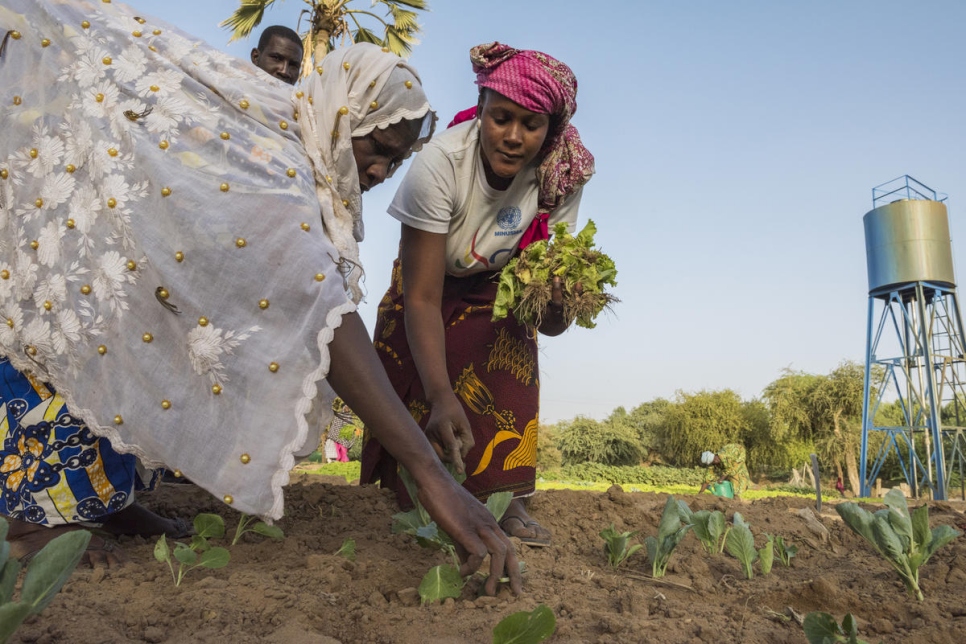 Biba Soumeylou siembra lechugas. Ella ayudó a establecer la asociación agrícola local.