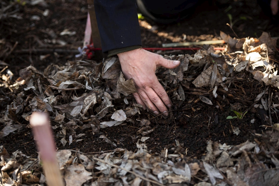 Tetiana elimina las hojas secas mientras busca minas terrestres. 