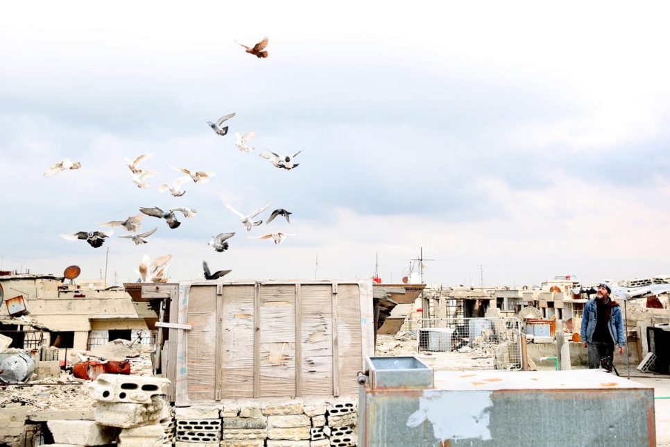 Jihad, de 44 años, llama a su hogar su bandada de palomas en la azotea de su casa recientemente rehabilitada en Homs, Siria. 