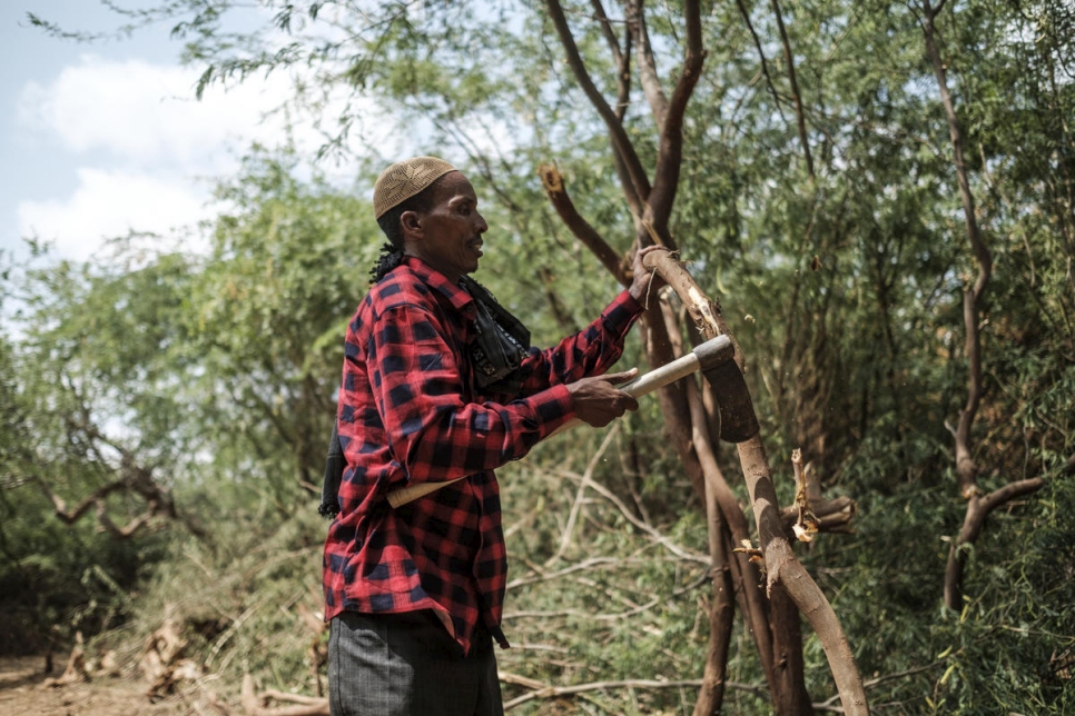 Un miembro etíope de la Cooperativa Dollo Ado corta árboles prosopis cerca de la frontera con Somalia. Lo venden a la Cooperativa Bur Amino, que lo procesa en briquetas de carbón y leña. 