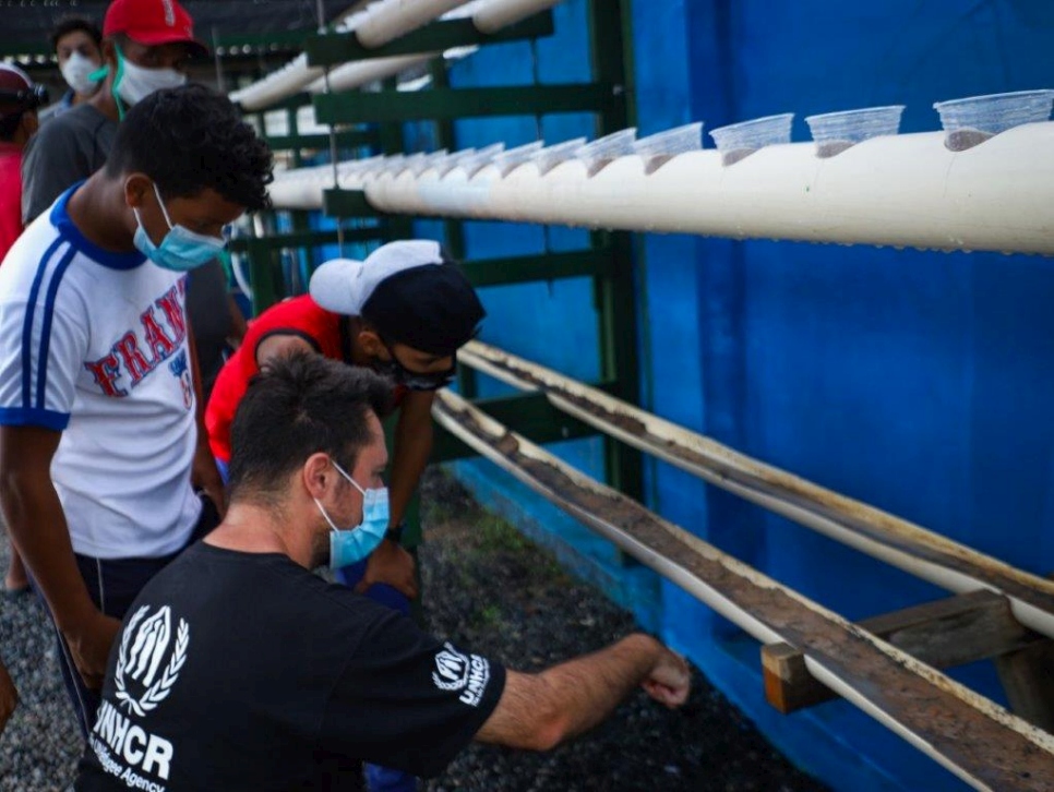 Jóvenes y adultos refugiados y migrantes participan como voluntarios en proyectos de acuaponía y biodigestión.