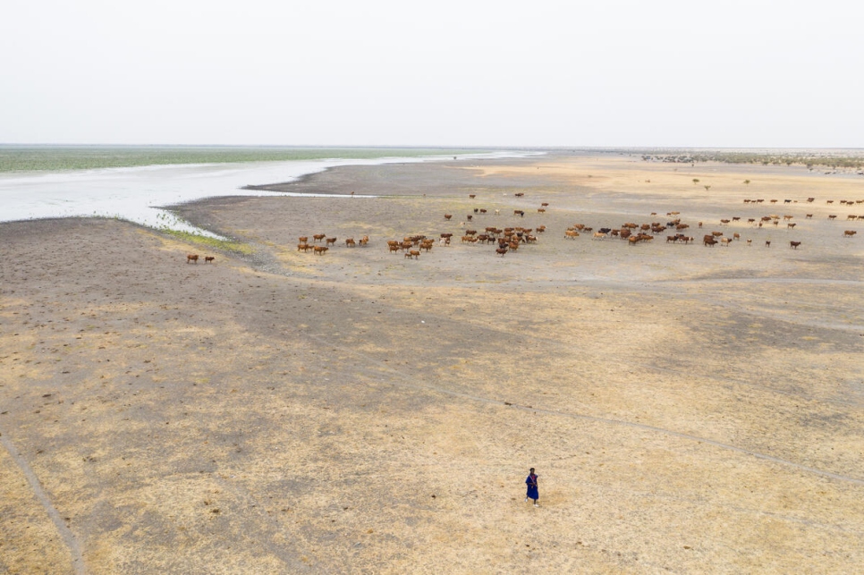 Un pastor fulani dirige su rebaño desde las aguas del lago Mahmouda, en Mauritania, que parecen esfumarse.