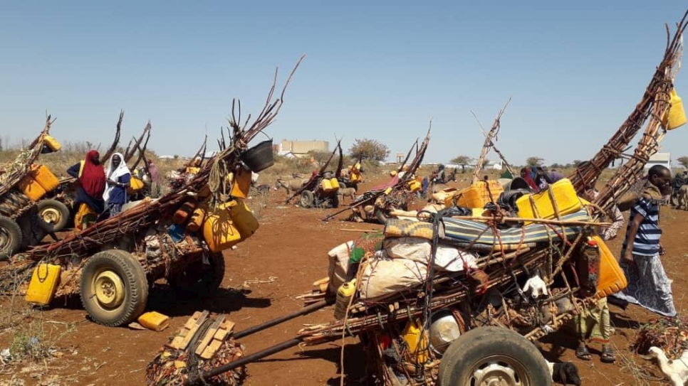 Familias de la ciudad de Baidoa, al sur de Somalia, huyen de sus hogares en busca de ayuda humanitaria debido a la grave sequía que afecta a gran parte del país.