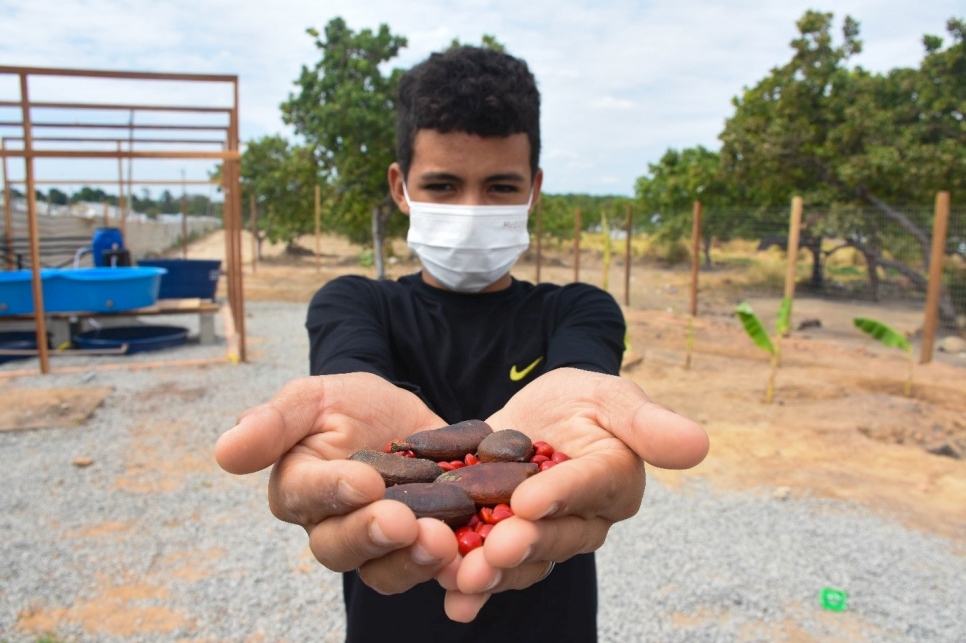 Jóvenes aprenden a cuidar las semillas que se plantarán en los albergues de la Operación Acogida.