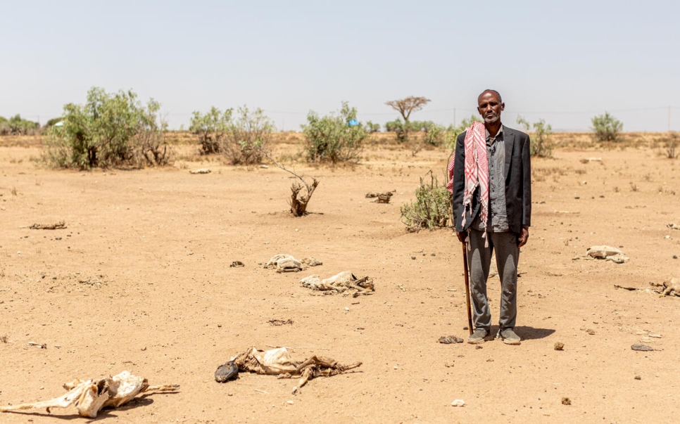 Abdullahi Gedi, pastor desplazado interno de 55 años, junto a los restos de sus animales muertos en el asentamiento de desplazados internos de Babacada El-Bahay, en Jijiga.