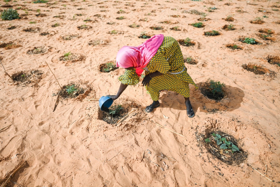 Una mujer riega las hortalizas que ha plantado en un terreno que previamente se encontraba abandonado en Ouallam, en Níger. Este huerto es utilizado por refugiados, desplazados internos y población local.