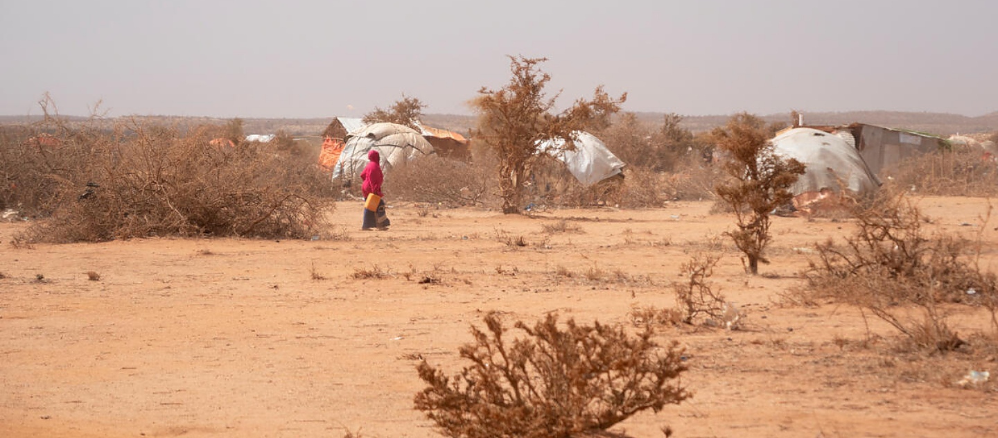 Somalia está siendo devastada por una catastrófica sequía; en consecuencia, las comunidades tienen hambre y muchas personas han tenido que abandonar sus hogares para buscar ayuda.