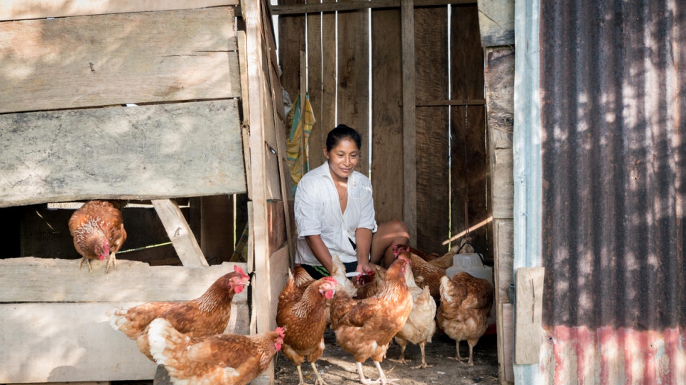 Luz Mari Bisbicus Pai, 41 años, alimenta las gallinas en un pequeño corral afuera de su casa. Los huevos que recolecta todos los días proporcionan alimento a su familia y también constituyen una pequeña fuente de ingreso, al ser vendidos.