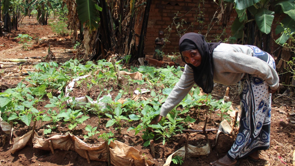 Una mujer en el campamento de refugiados de Kigoma, en Tanzania, trabaja en un proyecto de producción de vegetales para diversificar la dieta y mejorar la nutrición.