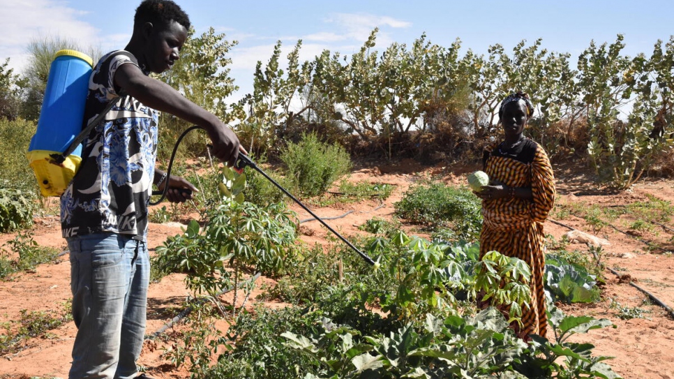 Personas refugiadas malienses rocían con biopesticidas caseros el huerto de vegetales en el campamento de Mbera.