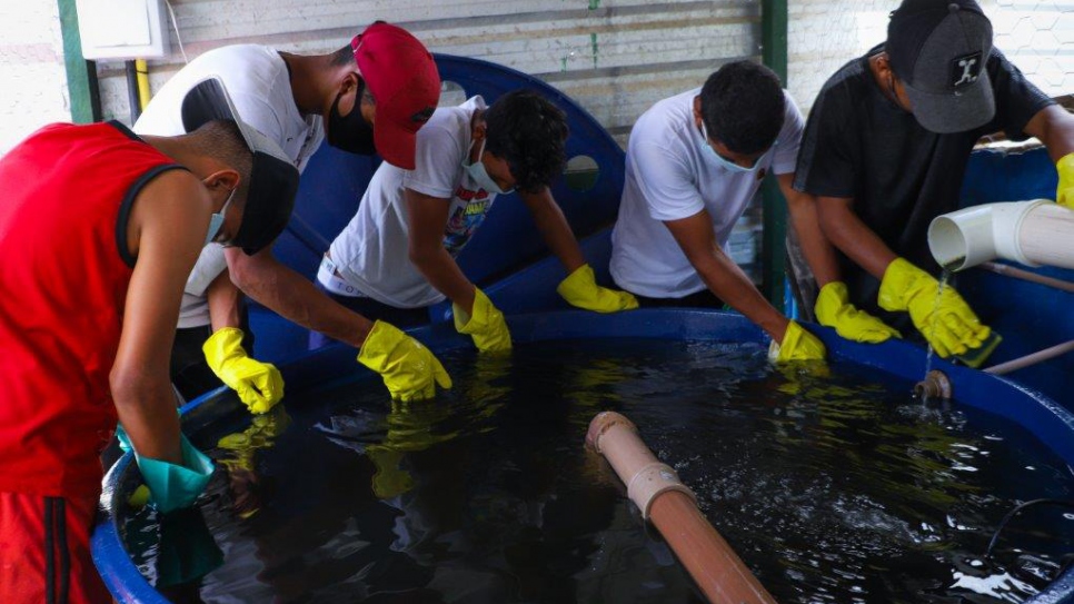 Un grupo de jóvenes, niñas y niños involucrados en el proyecto de acuaponía limpian el estanque de peces.