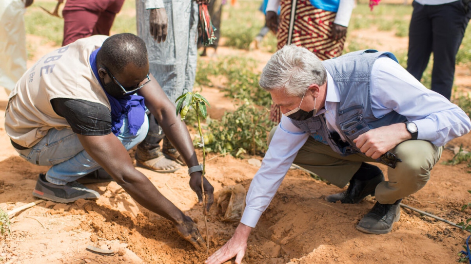 El Alto Comisionado de la ONU para los Refugiados, Filippo Grandi, planta un árbol de mango durante una visita al huerto de Ouallam.