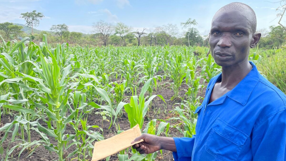 Odong Anthony, presidente de Can-Coya, se encuentra en un campo de maíz que crece en tierras plantadas por el colectivo agrícola.