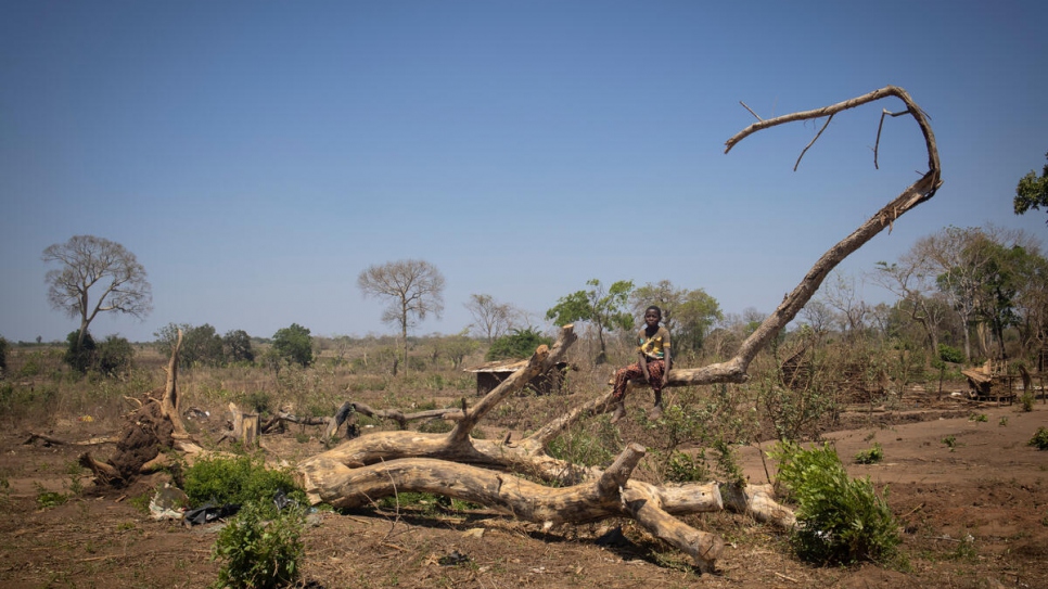 Un niño sobre un árbol que fue arrancado por el ciclón Gombe en el asentamiento de personas desplazadas de Corrane. El lugar acoge a unas 7.000 personas que han huido de la violencia en la provincia de Cabo Delgado.