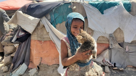 Niña yemení juega con un gatito en el asentamiento que ha dado acogida a personas desplazadas internas en Saná, Yemen (noviembre de 2021).
