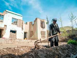 Un hombre cava una zanja para un árbol frente a las ruinas de una casa bombardeada.