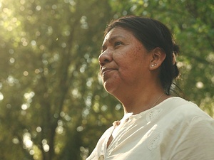 Clara, con camisa blanca, pasea en un arboleda.