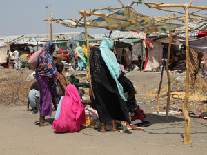 Refugiados recién llegados de Sudán construyen su refugio en el abarrotado Centro de Tránsito de Renk, en Sudán del Sur, en marzo de 2025.