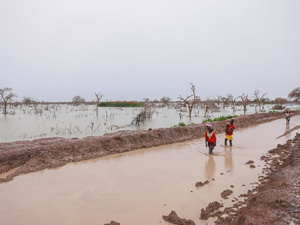Personas desplazadas por las inundaciones transportan a niños y pertenencias por una carretera anegada.